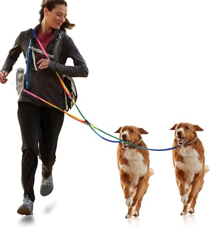 2Pcs Hands Free Hundeleine für große 240cm Seil Crossbody Hundeleine Reflektierend für Joggen und Laufen,Verdickte Freihandleinen,Nylon Doppelleine mit 2 Karabiner,Hundeleine,Hundegürtel von Kalamakala