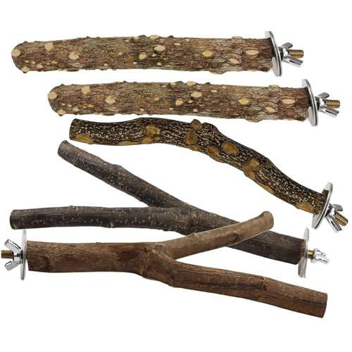 Kalastussaari 5pcs/Set Bird Barch Stand, natürlicher Holzvogel -Perch -Papageien -Käfig -Zweig -Pfoten -Schleif -Gabel -Anbresung Hängematte von Kalastussaari