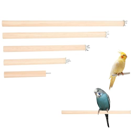 5pcs Vogelperch, natürliche Holzstange, leicht zu installierende Vogelkäfigständer für kleine mittlere Vögel Cockatiel Papagei von Kalastussaari