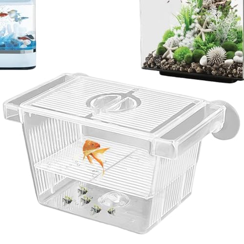 Kalastussaari Fischzüchtung, transparente Isolationszüchterbox für Fischtank, 5x3x3 Abnehmbarer Kunststoff Kleiner Fischtank für Babys Fisch, Garnelen, Clownfische und Guppy Breeder Box für Fischtank von Kalastussaari