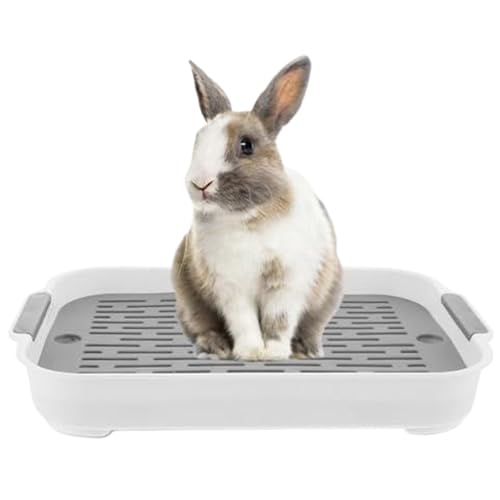 Kaninchendrüsenbox Dual -Layer -PP -Hasen -Müll -Schachtel Meerschweinchen -Trainingspanne mit geräumigem Griff geräumig glatt 11 x 7 x 2 Zoll kleines Tier Katzentoilette für Meerschweinchen & mehr von Kalastussaari