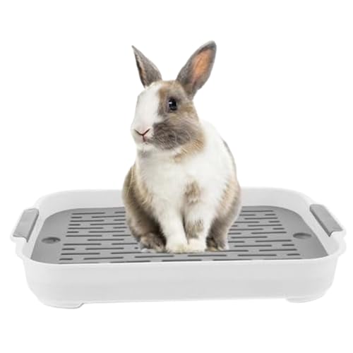 Kaninchendrüsenbox Dual -Layer -Pp -Hasen -Katzentoilette Rechteckige Kaninchenstrauder mit geräumigen glatten 11x7x2 -Zoll -Kleinproduktschachtel für Meerschweinchen und mehr Hasen -Katzentoilette von Kalastussaari