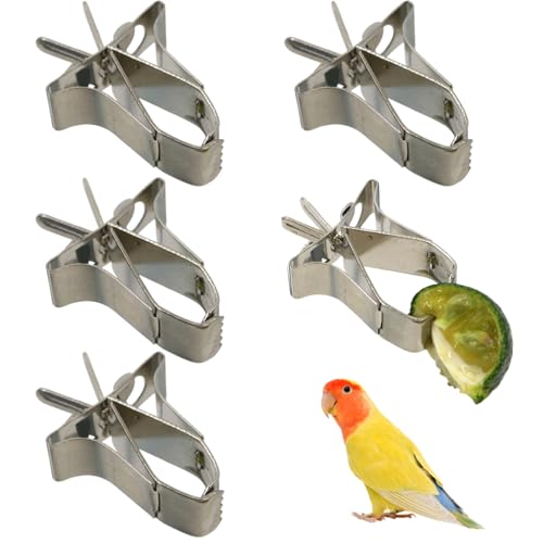 Vogelfutterhalter, 5pcs Vogelfruchtfutterfutter Tintenfische Clip -Vogel -Gemüsehalter -Clip, Vogelfuttersuche Spielzeugkäfigzubehör für Sittich, Budgie, Macaw von Kalastussaari