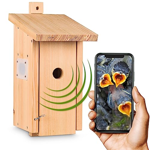 Nistkasten mit WLAN-Kamera „Bechstein 3“ Vogelhaus mit Kamera - Nistkasten mit WLAN-Kamera zum Aufhängen - Full-HD Auflösung, Nachtsichtfunktion, Mikrofon, Aufnahme - Zugriff per Smartphone App von Kamera im Vogelhaus