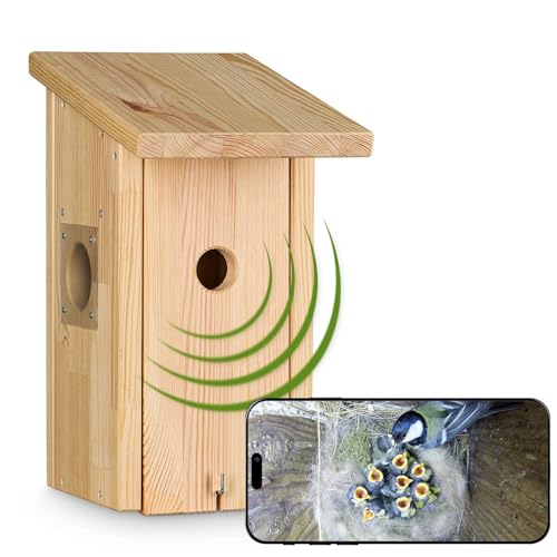 Nistkasten mit WLAN-Kamera „Bechstein 3“ Vogelhaus mit Kamera - Nistkasten mit WLAN-Kamera zum Aufhängen - Full-HD Auflösung, Nachtsichtfunktion, Mikrofon, Aufnahme - Zugriff per Smartphone App von Kamera im Vogelhaus