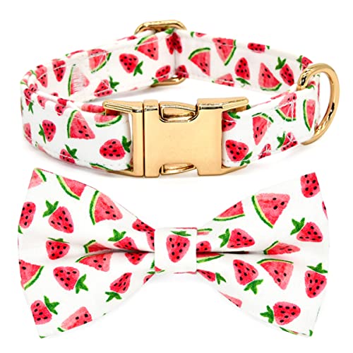 Kamercy Hundehalsbänder mit Fliege, Rosa Erdbeere Wassermelone Fliege Zubehör für Hunde, Gold Metall Zubehör Halsbänder für kleine, mittelgroße und große Hunde, M (30,5 cm - 50,8 cm) von Kamercy