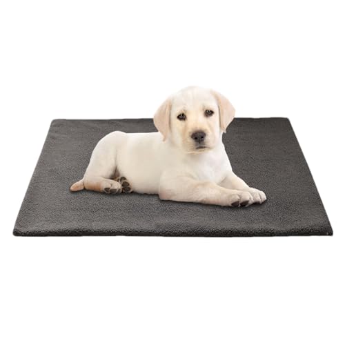 Selbstheizende Decke Katze, Heizdecke für Katzen und Hunde, Waschbare Welpen Thermodecke, Selbstwärmende Winter Wärme Hundematte, Thermodecke Hund rutschfest, Grau (M（76 * 48cm）) von KaoKaoHung