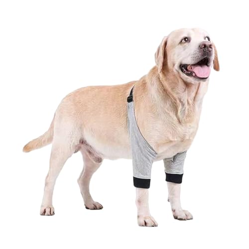 Kaohxzklcn Schützende Ellenbogenbandage für Hunde, gegen Lecken, verstellbare Passform, Ellenbogen-Bandage, Haustier-Bein, Sprunggelenk, Stützhilfen, Vordergelenk-Bandage für Hunde von Kaohxzklcn