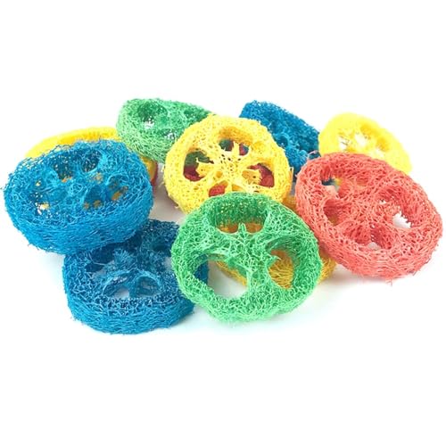 Kapmore Kauspielzeug-Set für kleine Tiere: 12 Stück, natürlicher Luffa, leicht, lebendiges Vogel-Hamster-Kaninchen-Spielzeug von Kapmore