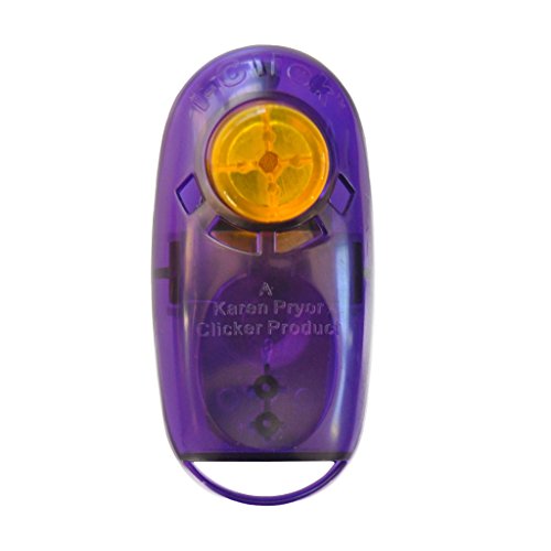 Karen Pryor Jewel i-Click Clicker - das Original Klicker für Hunde und Katzen (transluzent lila/Purple) von Karen Pryor