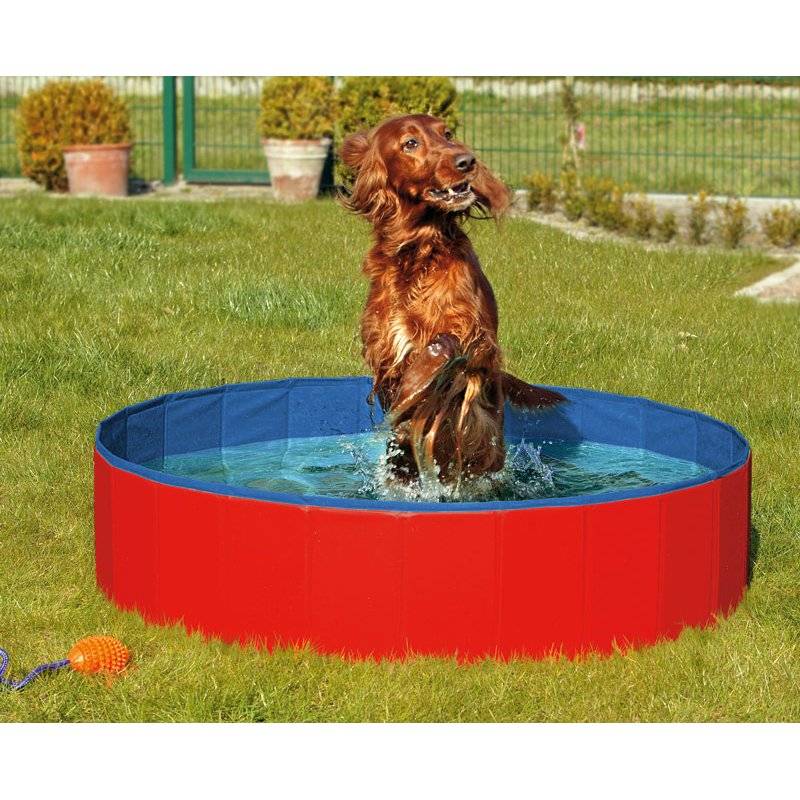 Doggy Pool Cover - 80 x 8 cm von Karlie