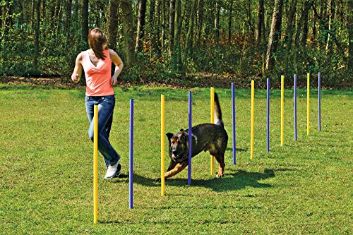 Karlie 31855 Agility Slalom gelb-blau von Karlie