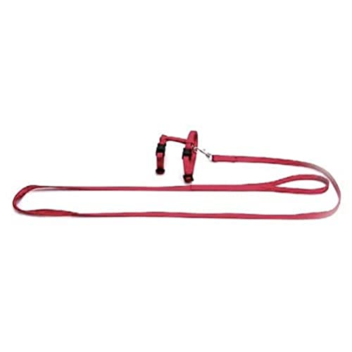 Karlie Art Sportiv Plus Kaninchengeschirr und -Leine L: 140 cm B: 10 mm rot von Karlie