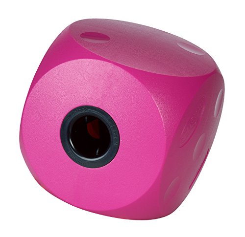 Karlie Buster Cube Cherry 11 cm von Kruuse