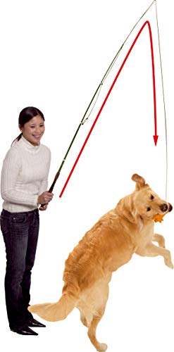 Karlie Dog Dangler Trainingsangel L: 49 - 165 cm von Karlie