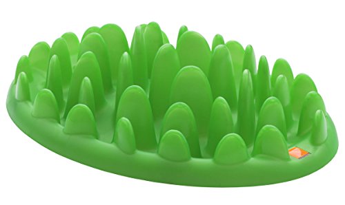 Northmate® Green - interaktiver Napf L: 40 cm B: 30 cm H: 10 cm grün von NORTHMATE