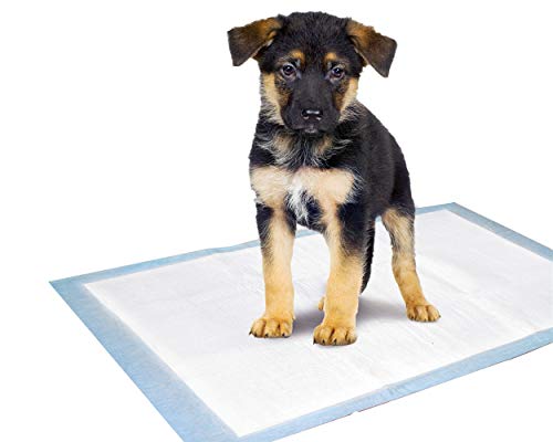 Karlie Puppy Pads Trainingsmatte L: 35 cm B: 45 cm 10 St. von Karlie