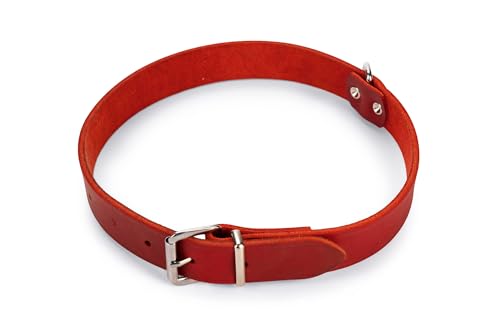 Karlie Halsband Rondo, genietet L: 62 cm B: 25 mm rot von Karlie