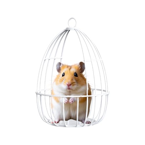 Hängematte für Frettchen | Spielzeug für Hamster, Zwerghamster, Eisen, Haus, Nest, Hängematte, Versteck, Training, Zubehör für Nagetiere, Zwergkaninchen Hängematte für Frettchen | Spielzeug für Hamster, Zwerghamster, Eisen, Haus, Nest, Hängematte, Versteck, Training, Zubehör für Nagetiere, Zwergkaninchen von Kasmole