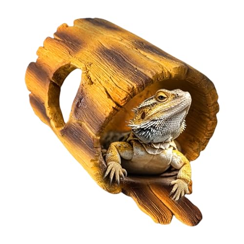 Höhle für Reptilien – Höhle Drache Barbu Textur Baum Terrarium – Badebereich und Dekoration für Aquarien, Zubehör für den Innenbereich, feucht, trocken, Krabben, Bardrache Höhle für Reptilien – Höhle Drache Barbu Textur Baum Terrarium – Badebereich und Dekoration für Aquarien, Zubehör für den Innenbereich, feucht, trocken, Krabben, Bardrache von Kasmole