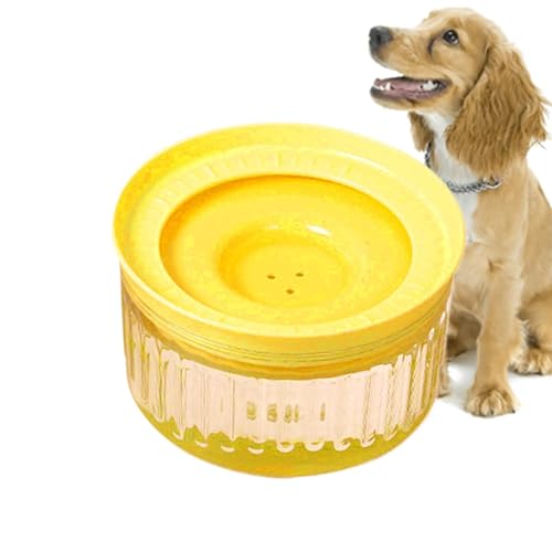 Wasserversorgung für Katzen, große Katzenwasserschale,1800 ml Spill Proof Water Bowl Spender - Abnehmbarer Wasserer, langsamer Trinkfutterbehälter -PET -Vorräte für Hunde und Katzen von Kasmole