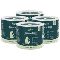 KatKare Vital Snacks Immuno Bites - Knusperkissen für das Immunsystem Deiner Katze mit Superfoods, wertvollen Aminosäuren, Antioxidantien und Omega-3 4x150 g KatKare Vital Snacks Immuno Bites - Knusperkissen für das Immunsystem Deiner Katze mit Superfoods, wertvollen Aminosäuren, Antioxidantien und Omega-3 4x150 g von KatKare