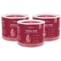 KatKare Vital Snacks Urinary Ease - Knusperkissen für das Harnwegssystem Deiner Katze mit blasenschützenden Wirkstoffen, Superfoods, Postbiotika und Omega-3 3x150 g KatKare Vital Snacks Urinary Ease - Knusperkissen für das Harnwegssystem Deiner Katze mit blasenschützenden Wirkstoffen, Superfoods, Postbiotika und Omega-3 3x150 g von KatKare