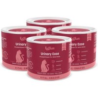 KatKare Vital Snacks Urinary Ease - Knusperkissen für das Harnwegssystem Deiner Katze mit blasenschützenden Wirkstoffen, Superfoods, Postbiotika und Omega-3 4x150 g KatKare Vital Snacks Urinary Ease - Knusperkissen für das Harnwegssystem Deiner Katze mit blasenschützenden Wirkstoffen, Superfoods, Postbiotika und Omega-3 4x150 g von KatKare