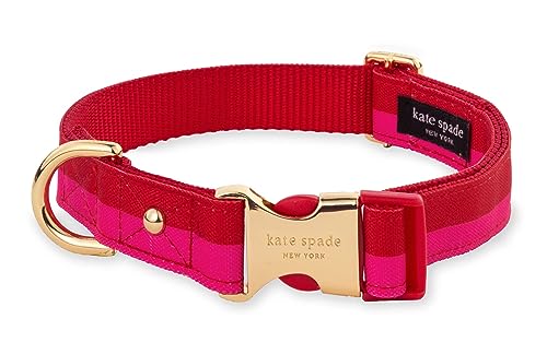 Kate Spade New York Niedliches Hundehalsband mit goldfarbener Metallschnalle, 29,2 cm bis 38,1 cm, verstellbares Halsband für Hündinnen oder Rüden, kleine und mittelgroße Rassen (Rot und Rosa) von Kate Spade New York