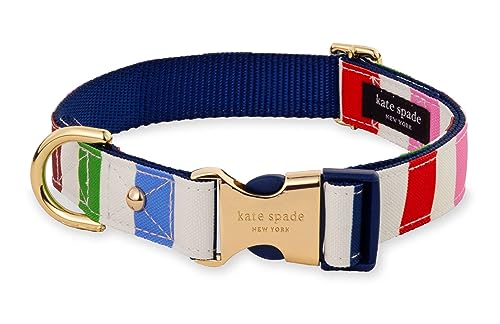 kate spade new york Niedliches Hundehalsband mit goldfarbenen Metalldetails und Kunststoffschnalle, 26,7 cm bis 34,3 cm, verstellbares Hundehalsband für Hündinnen oder Rüden, kleine bis mittelgroße von Kate Spade New York