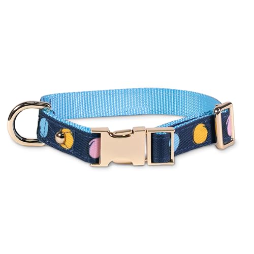 kate spade new york Niedliches Hundehalsband mit goldfarbenen Metalldetails und Kunststoffschnalle, 26,7 cm bis 34,3 cm, verstellbares Hundehalsband für Hündinnen oder Rüden, kleine bis mittelgroße von Kate Spade New York