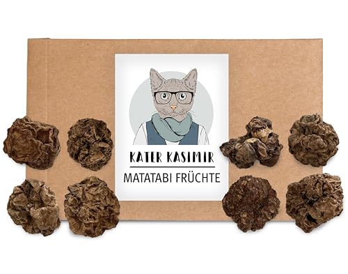 Getrocknete Matatabi Früchte als Katzenspielzeug für Katzen (intensiver als getrocknete Katzenminze und Matatabi-Sticks) von Kater Kasimir