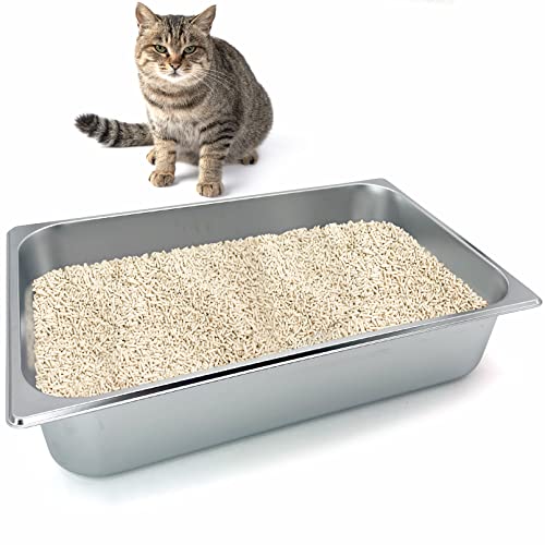 Kathson Edelstahl Katzentoilette, groß mit hohen Seiten und rutschfesten Gummifüßen Katzentoilette Antihaft Glatte Oberfläche Katzentoilette langlebig Kätzchen Zubehör 20,8" L x 13" W x 4" H von Kathson