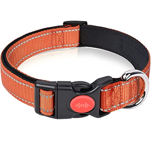 Katoggy Reflektierendes Hundehalsband, verstellbares Basic Hundehalsband mit Sicherheitsverriegelungsschnalle und weichem Neopren gepolstert, strapazierfähiges Nylon Haustierhalsbänder für Welpen, kleine, mittelgroße und große Hunde von Katoggy