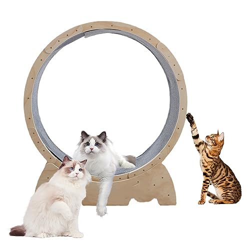 Katzenlaufband, Katzen-Laufrad, Laufrad mit Verriegelungsmechanismus, Haustier-Laufband, Fitness, niedliche Möbel, Spielzeug, Haustier-Verlustgerät, Gelb von Katolang