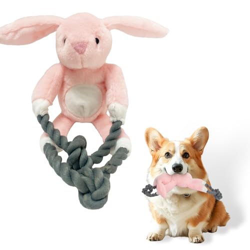 Kattypet Quietschendes Hundespielzeug aus Plüsch – langlebiges süßes Tierspielzeug für den Innenbereich mit kleinen, mittleren und großen Hunden (Kaninchen) von Kattypet