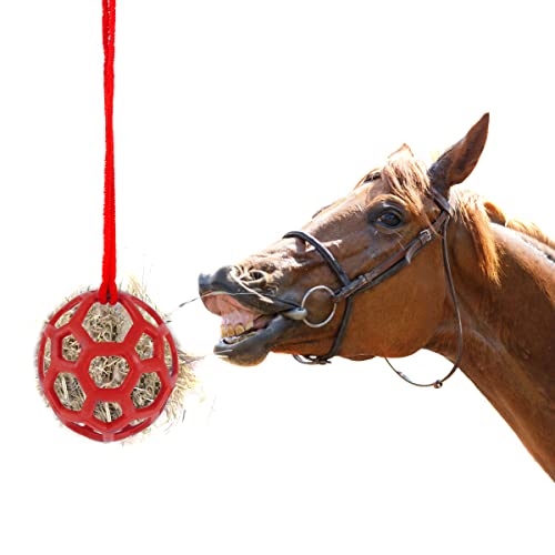 Leckerli-Bälle für Pferde Futterspielball Horse Treat Ball Pferd Pferdespielzeug zum Aufhängen Für Die Pferde Heu-Futterstation Ball-Spielzeug Pferd Stressabbau Behandeln Ball Heu Feeder Spielzeug von Katutude