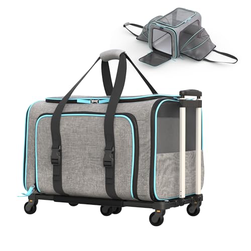 Katziela Rolling Rover Fluggesellschaftskonforme, erweiterbare Premium-Haustier-Tragetasche, 6 Räder, Bodenleiste, Teleskopgriff, zweiseitig, erweiterbar, Rolltrage entworfen (grau-blaue Paspelierung) Katziela Rolling Rover Fluggesellschaftskonforme, erweiterbare Premium-Haustier-Tragetasche, 6 Räder, Bodenleiste, Teleskopgriff, zweiseitig, erweiterbar, Rolltrage entworfen (grau-blaue Paspelierung) von Katziela