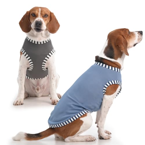 Katzinst 2 Pack Hunde-Shirts, Hunde Shirt für Mittlere Hunde, Ärmellose Weste Gestreifte Ärmel Hundekostüme, Shirt für Hunde Schnauzer Bichon Dackel Grau, Blau M von Katzinst