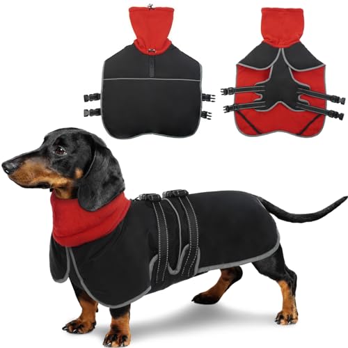 KATZINST Dackel Mantel, dackel wintermantel mit Geschirr Wasserdichter Hundemantel mit Bauchschutz, Dackel Jacke für Kleine Mittlerer Hunde, dackel Jacke dackelmantel Hundemantel für Dackel, L von Katzinst