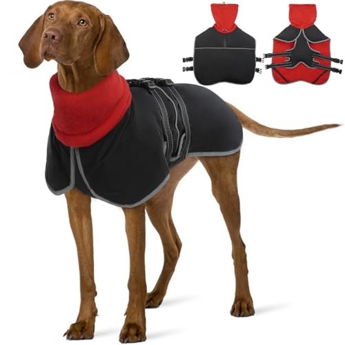 KATZINST Dackel Mantel, dackel wintermantel mit Geschirr Wasserdichter Hundemantel mit Bauchschutz, Dackel Jacke für Kleine Mittlerer Hunde, dackel Jacke dackelmantel Hundemantel für Dackel, XL von Katzinst