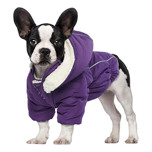 Katzinst Haustierkleidung, Winter Hundemantel mit Beinen Warm Hunde Wintermantel Hundejacke, Anti-Schneeanzug Hundemantel für Kleine Hunde, Chihuahua Französische Bulldogge Mops，, Lila S von Katzinst