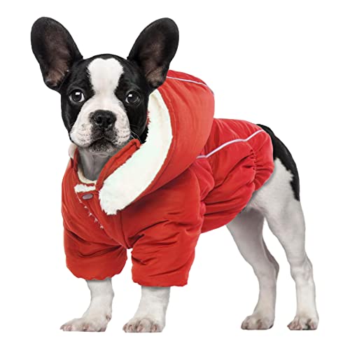 Katzinst Haustierkleidung, Winter Hundemantel mit Beinen Warm Hunde Wintermantel Hundejacke, Anti-Schneeanzug Hundemantel für Kleine Hunde, Chihuahua Französische Bulldogge Mops，, Rot S von Katzinst