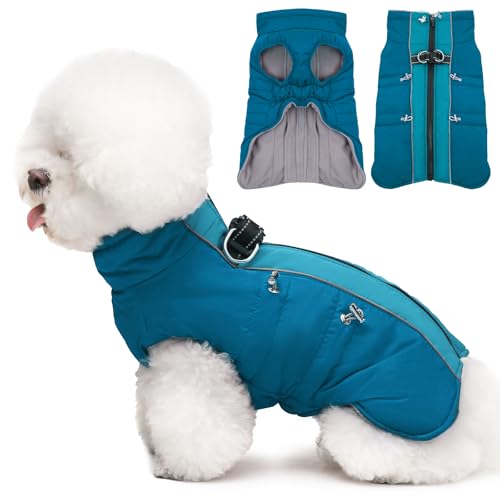 Katzinst Hunde Wintermantel, Ärmellose Wasserbeständig Hundejacke Reflektierend Hundejacke mit Bauchschutz Hundebekleidung Outfit Hundemantel für Kleine Hunde, Dackel Chihuahua Yorkshire, S von Katzinst