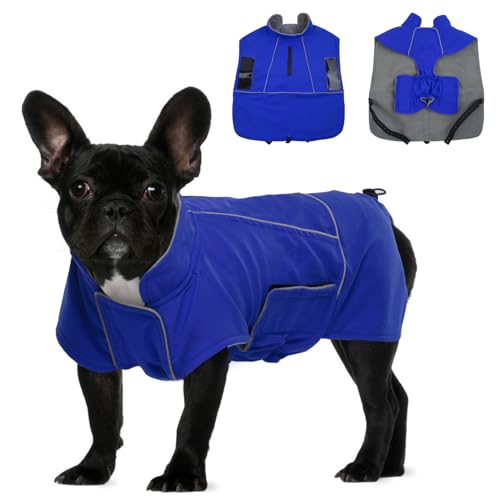 Katzinst Hundemantel,Hundejacke Winter Warmer Hunderegenmantel für Mittelgroße Hunde,Hundemantel Wasserdicht Maschinen Waschbarer, HundeKleidung Reflektierender Streifen Cheng Blau XL von Katzinst