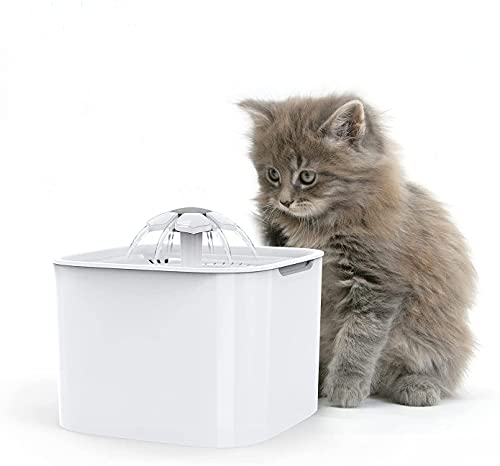 Kavolet 2 L Katzenbrunnen, Automatische Trinkbrunnen für Katze und Hunde, Selbstzyklus Ultraleiser Wasserbrunnen mit Filter, 2W Wasserpumpe für Katzen-Hundevogel-Meerschweinchen von Kavolet