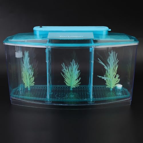 Kavolet Aquarium-Fischtank, LED-Acryl-Zucht-Isolationsbox für Kleine Fische mit LED-Leuchten, Zwei Isolationsplatten und Ungiftigem Kunstrasen, Blau, Lila (Blau) von Kavolet