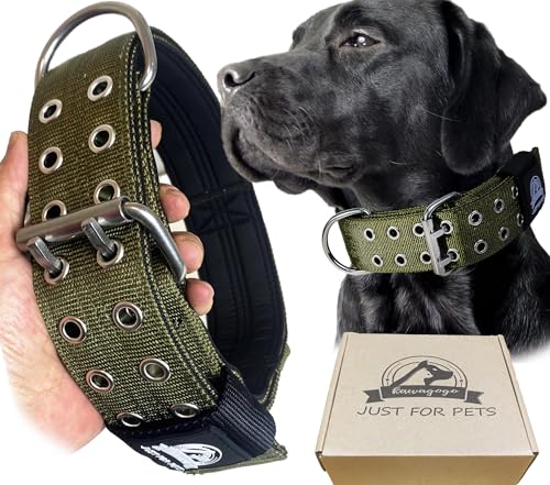 Kawagogo 4-lagiges Nylon-Hundehalsband für große Hunde, taktisches Militärtraining, robustes Hundehalsband für extra große Rassen, Deutscher Sherd (53,3–68,6 cm, Armeegrün) von Kawagogo