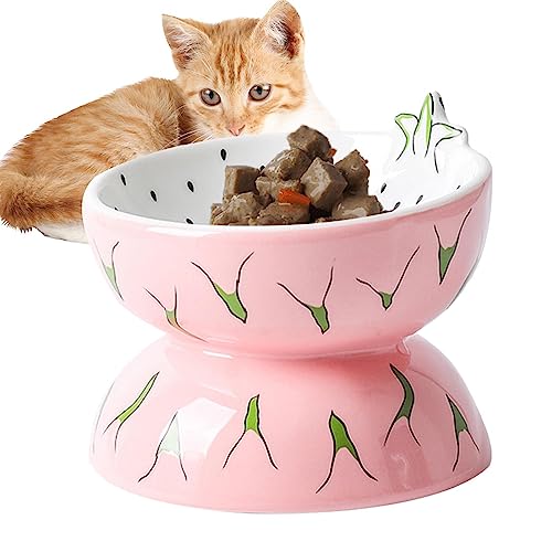 Gekippte Katzenfutternäpfe, Erhöhter Katzenfutternapf aus Keramik, Obst-Design: Ergonomisch, schmutzfrei, geräuscharm, stressfrei, Rutschfester Futternapf für Haustiere, schützt die von Kaxenig