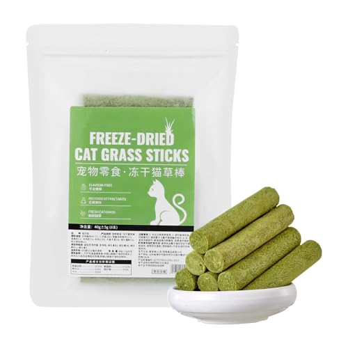 Katzengras-Beißring, Katzengrasfutter - 8 Sticks Kausnacks für Katzen - Gefriergetrocknete Snack-Leckereien für Katzen, aromatisierte Zahnreinigungs-Leckereien, um die Katze energiegeladen zu halten von Kaxenig